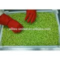 IQF Légumes surgelés Edamame